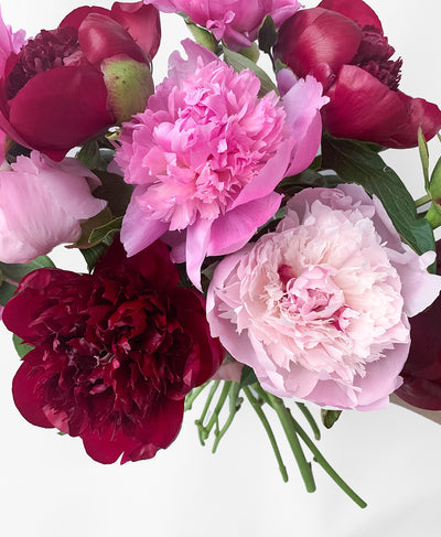 Peo-need 'em! (12 Stems)