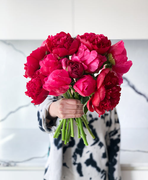 Hot Lips Peonies (10 Stems)