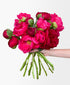 Hot Lips Peonies (10 Stems)