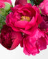 Hot Lips Peonies (10 Stems)