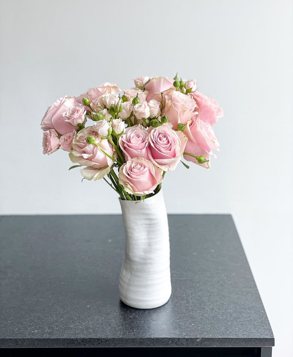 Shop Cosmopolitan Roses (15 Stems) | Tonic Blooms