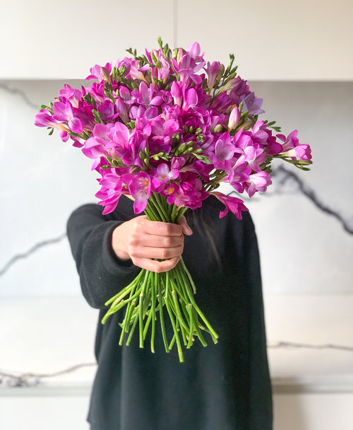 Freesia Love (40 stems, 80+ blooms)