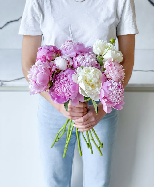 Single Scoop of Peonies (10 Stems)