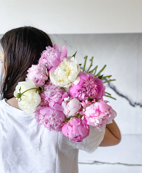 Single Scoop of Peonies (10 Stems)