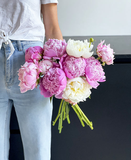 Single Scoop of Peonies (10 Stems)