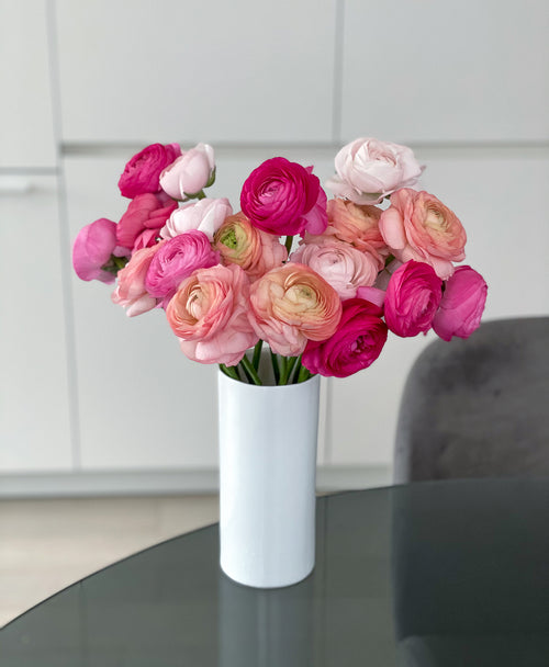 Starburst Ranunculus (22 stems)