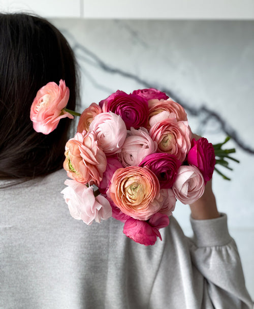 Starburst Ranunculus (22 stems)