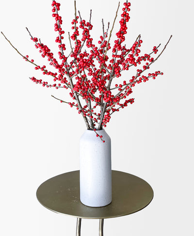 Ferrari Red Ilex (arrives in vase)