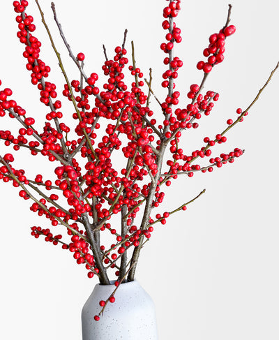 Ferrari Red Ilex (arrives in vase)