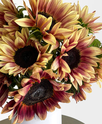 Plum Sunflowers (360 centrepiece)