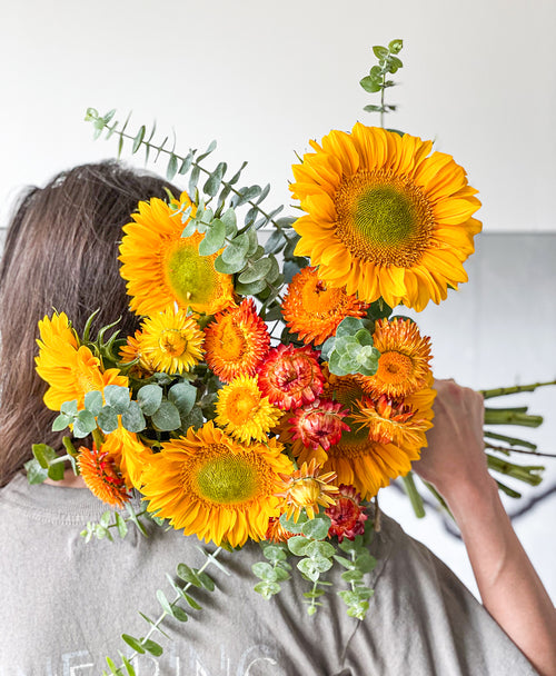 Van Gogh Sunflowers (12+ stems)