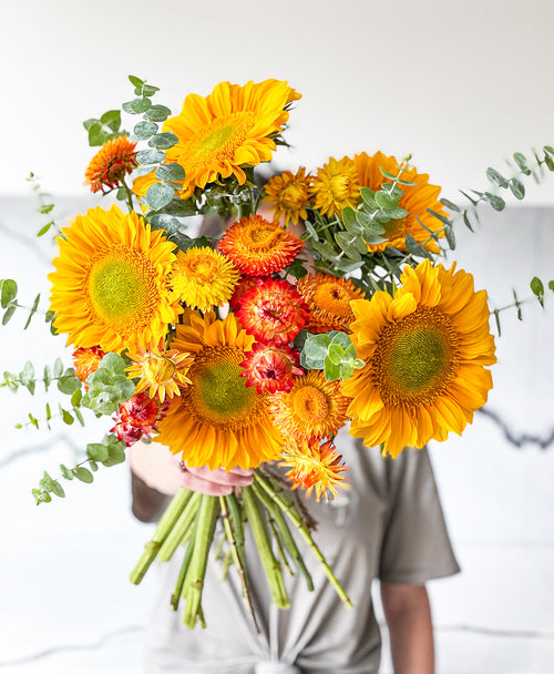 Van Gogh Sunflowers (12+ stems)
