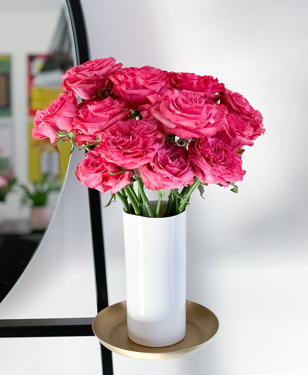 Shop Country Blues Garden Rose (15 Stems) | Tonic Blooms