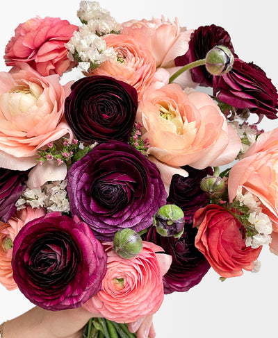 Harvest Moon Ranunculus (18+ stems)