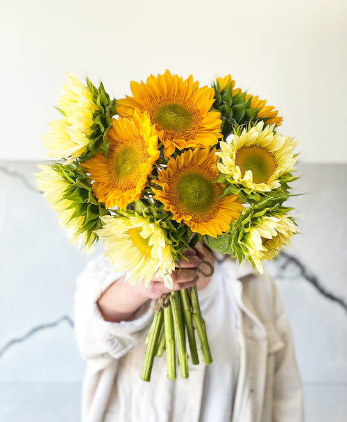 Citrus Burst Sunflowers (9 stems)