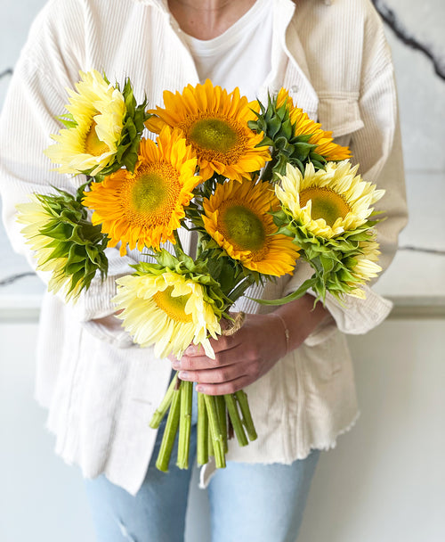 Citrus Burst Sunflowers (9 stems)