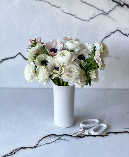 All The White Moves (20 stems)