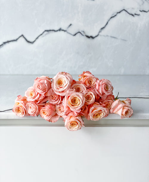 Shimmer Roses (18 stems)