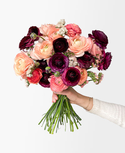 Harvest Moon Ranunculus (18+ stems)