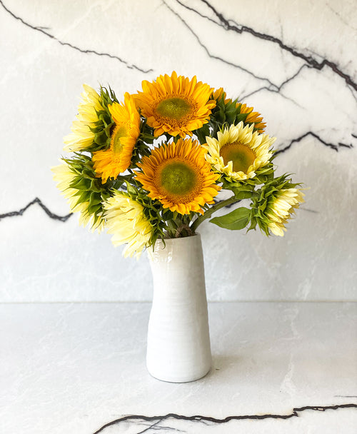 Citrus Burst Sunflowers (9 stems)