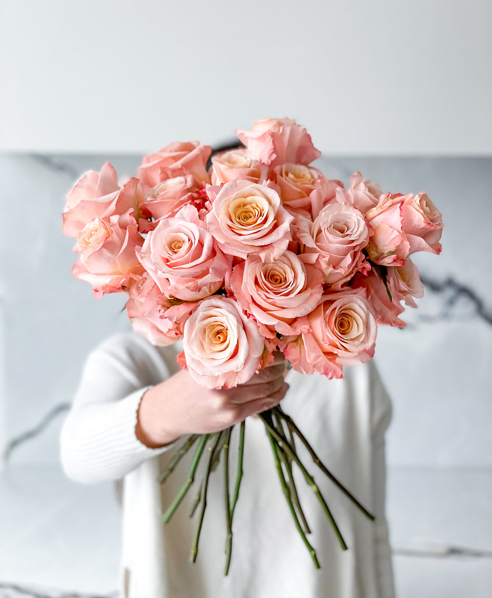 Buy Shimmer Peach Garden Rose on Sale | Tonic Blooms