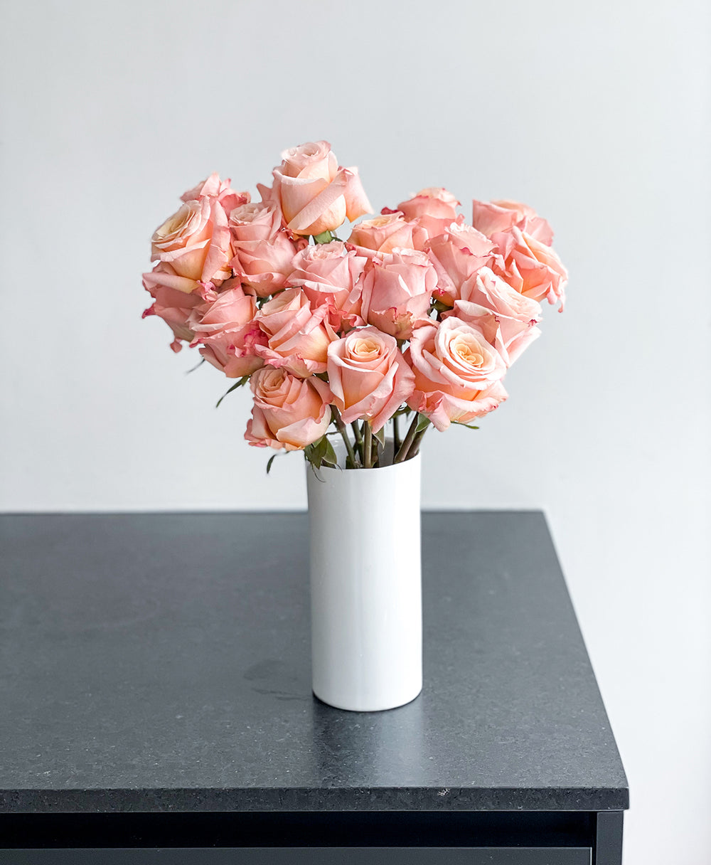 Buy Shimmer Peach Garden Rose on Sale | Tonic Blooms