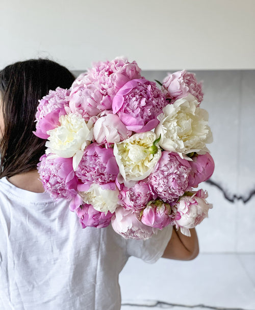 Double Scoop of Peonies (20 Stems)