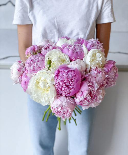 Double Scoop of Peonies (20 Stems)