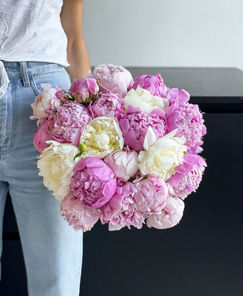 Double Scoop of Peonies (20 Stems)