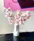 Strawberry Pink Cymbidium (3 stalks, 24+ blooms)